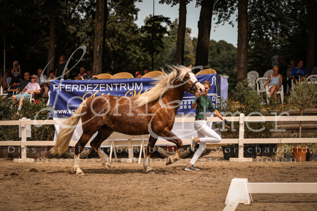 5.Sa00025 | Leoni Ertmer Photography - Realisiert mit Pictrs.com