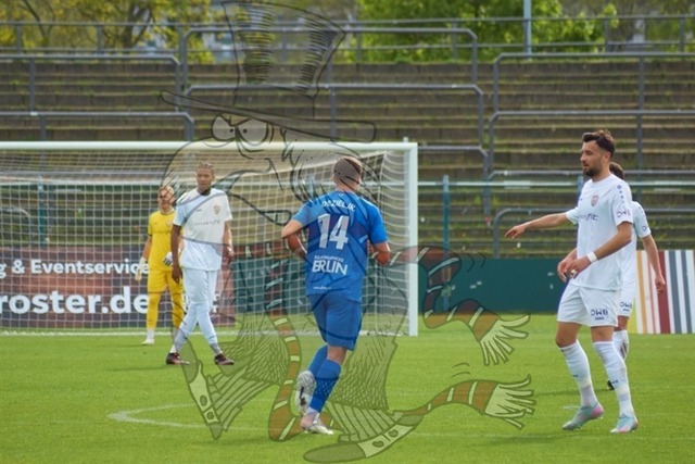 BFC Dynamo vs. VSG Altglienicke 065 | mythos-online-redaktion