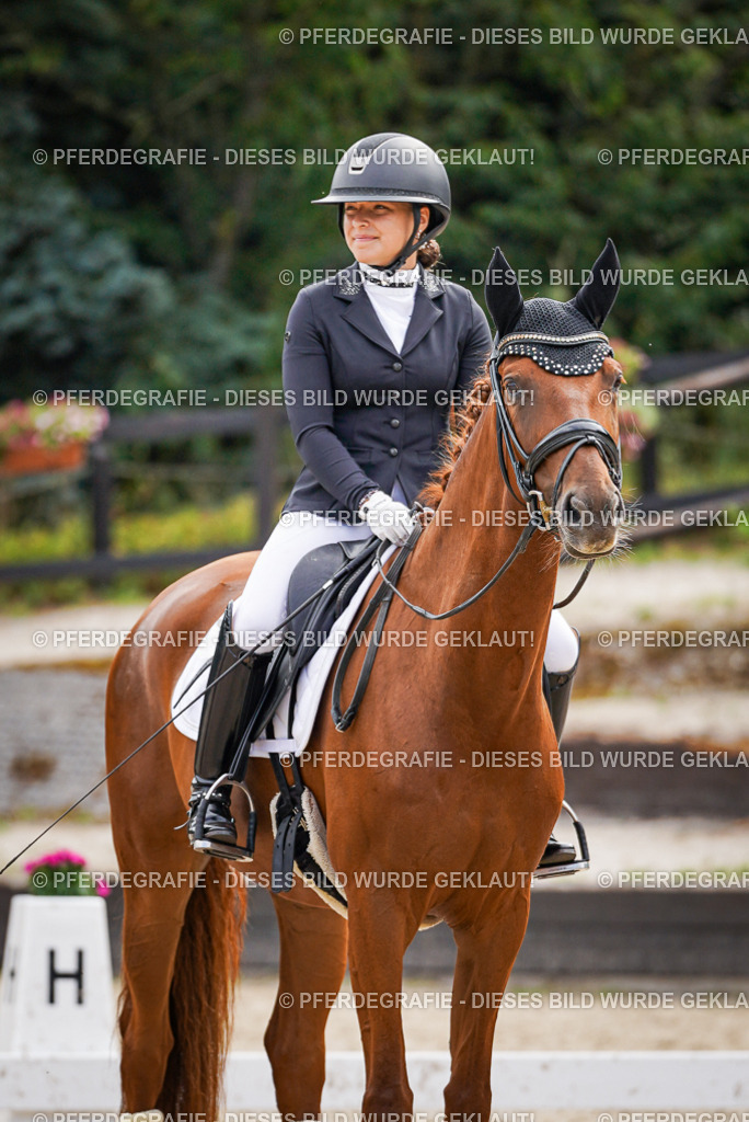 DSC02309 | Pferdegrafie