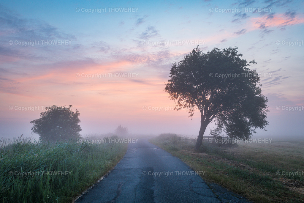 _1038594 | thowehey - Realisiert mit Pictrs.com