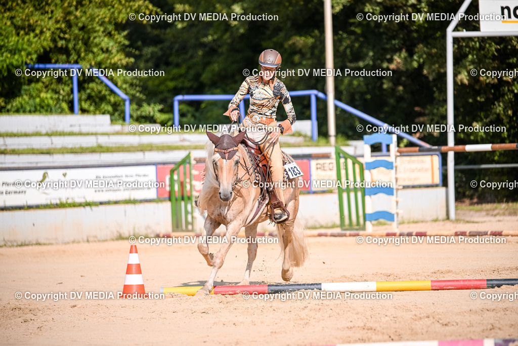 ZS2_3481 | dv-media-shop - Realisiert mit Pictrs.com