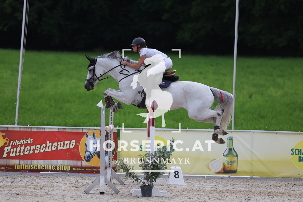 0P6A1848 | Willkommen bei Brunnmayr - Design & Fotografie – Ihrem Spezialisten für Reitturniere und Pferdeveranstaltungen in Oberösterreich, Salzburg und Bayern! Seit über 17 Jahren sind wir leidenschaftlich dabei.
