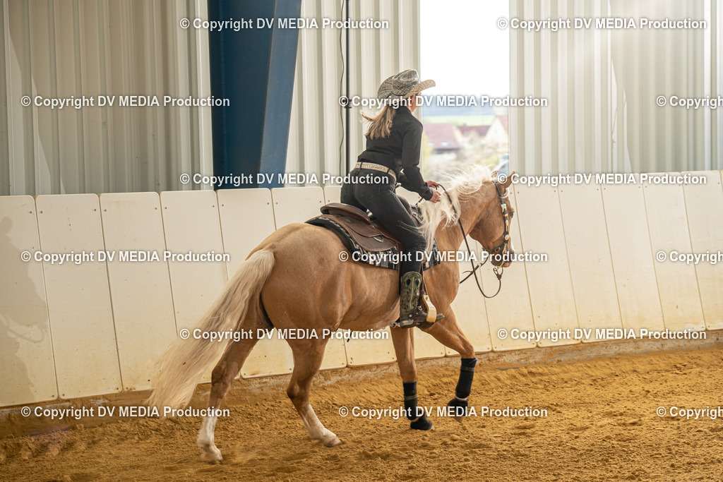 MIT00679 | dv-media-shop - Realisiert mit Pictrs.com