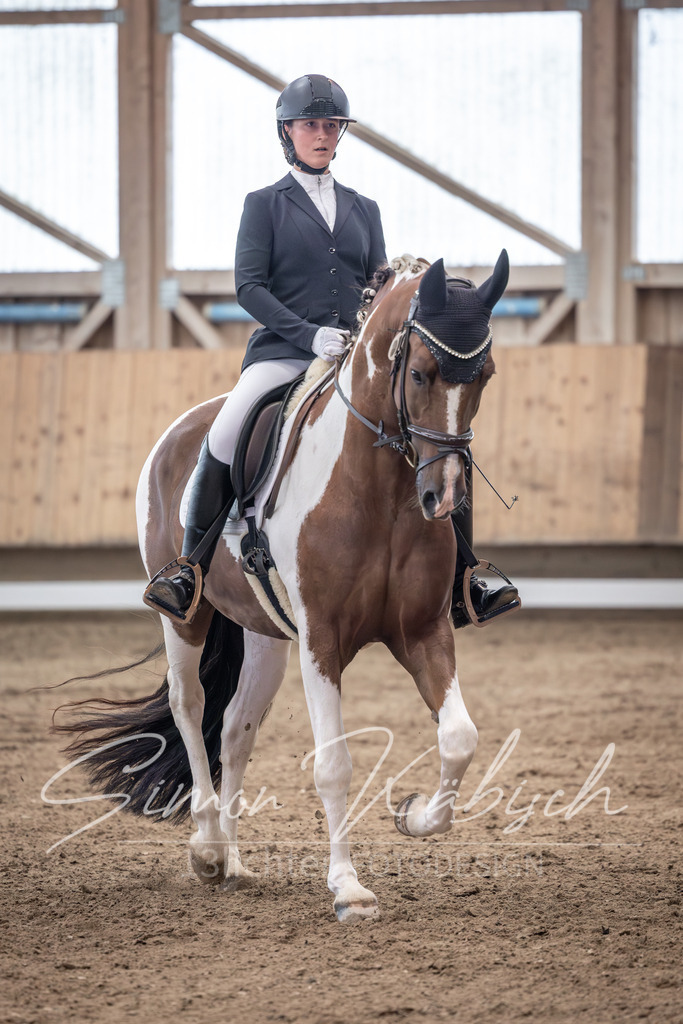 20251011-_3LI0100 | Tierfotografie Pferde, Hunde, Katzen, Haustiere.
Turnierfotografie Reitturniere, Reiten, Springreiten, Dressur in Hanau, dem Main-Kinzig-Kreis und dem Rhein-Main- Gebiet um Frankfurt