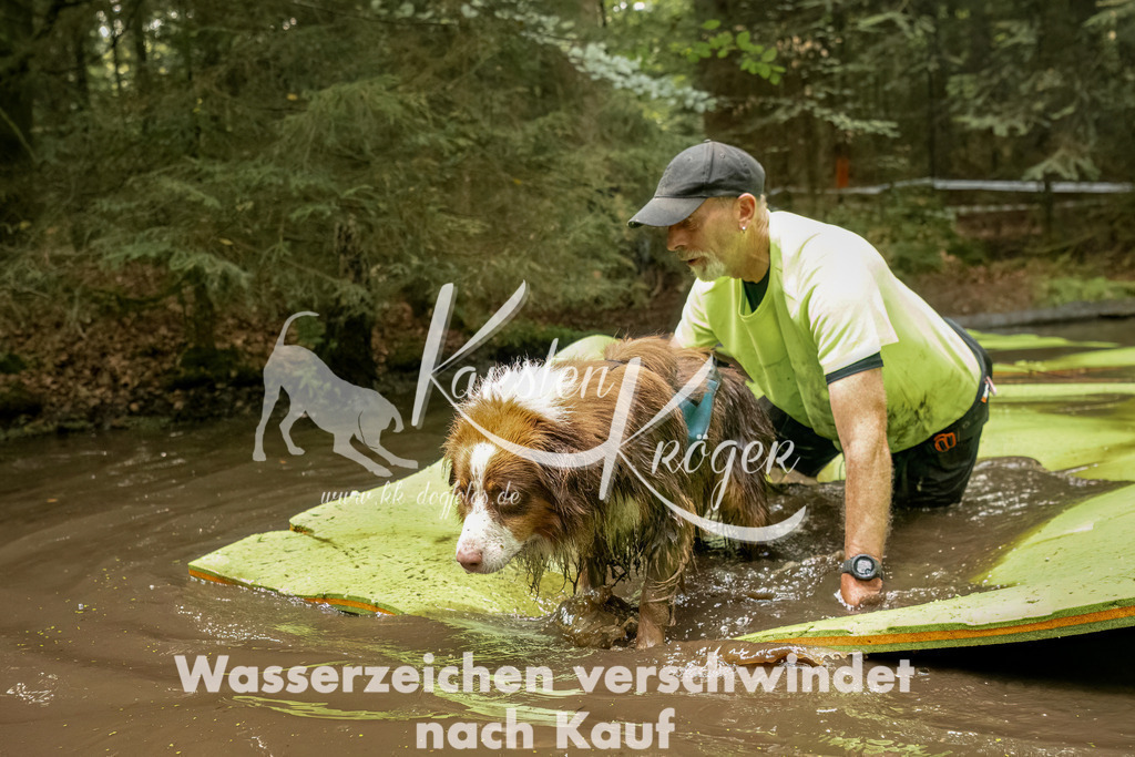 1231_ZZ90098-Bearbeitet | kk-dogfotos