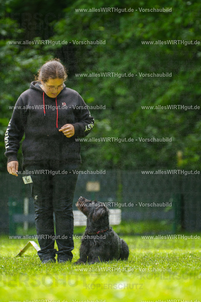 @allesWIRTHgut_Tierfotografie - www.allesWIRTHgut.de - 7R500709 | Professionelle Tierfotografie in Mönchengladbach von Daniel Wirth (allesWIRTHgut). Liebevolle & natürliche Bilder von Hunden & Katzen für unvergessliche Erinnerungen.