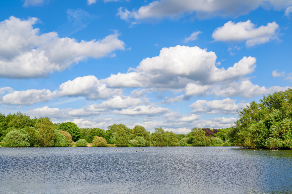 See im Domänental | Das Domänental liegt in der Nachbarschaft zu Kiel. Die Fotografie entstand in einem Juni; der See und die Bäume, die das Ufer säumen, zeigen unter den wunderschönen Wolken die ganze Pracht des Frühlings. — Auflösung des Originals: 4896 x 3264 px. - Realisiert mit Pictrs.com