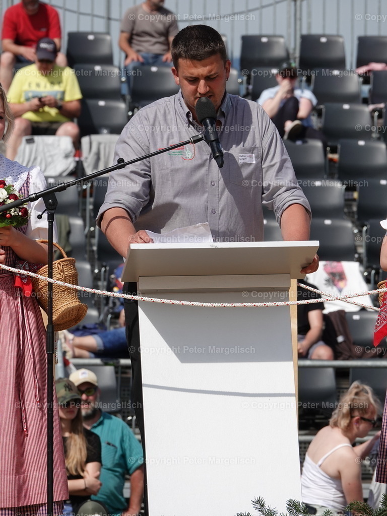 DSC06855 | Schwingen - Realisiert mit Pictrs.com