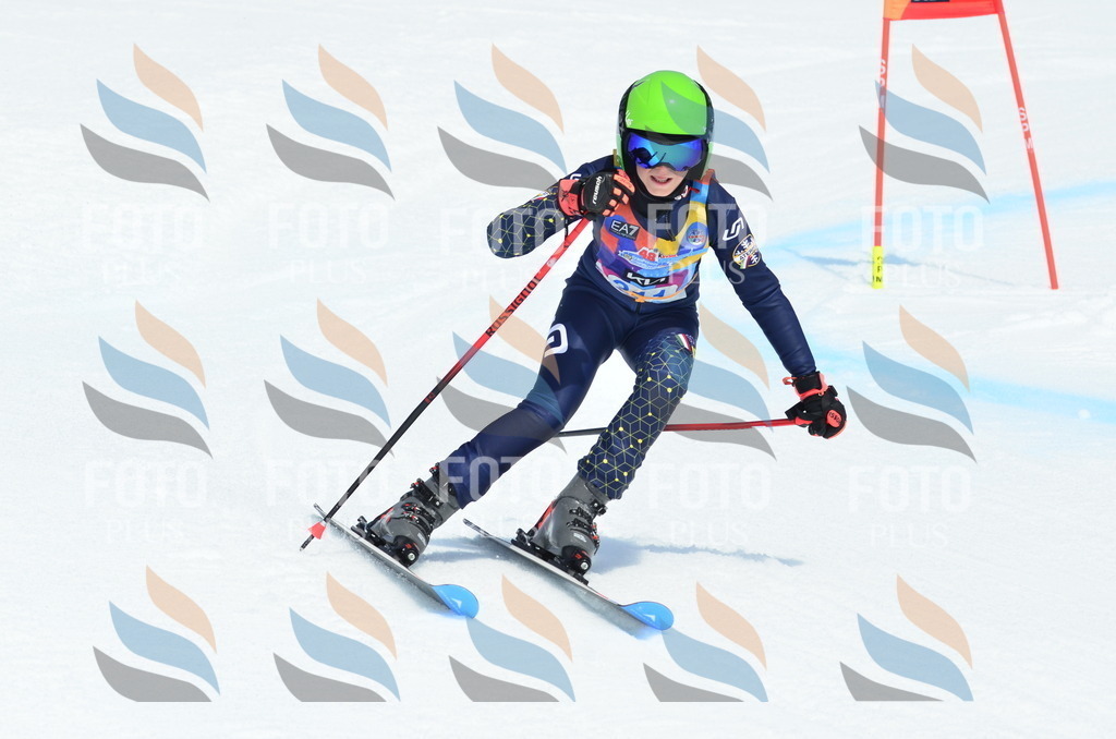 _ELE2342 | holidayphoto