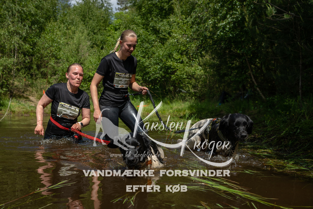 1151DKK991359 | kk-dogfotos