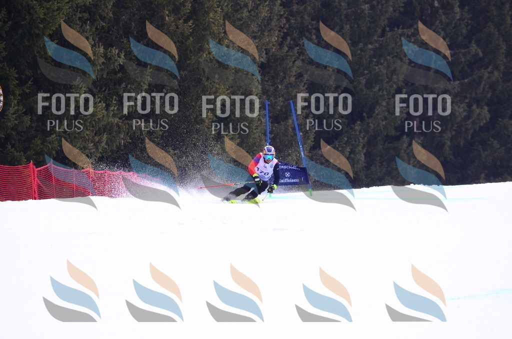 D0731 | holidayphoto