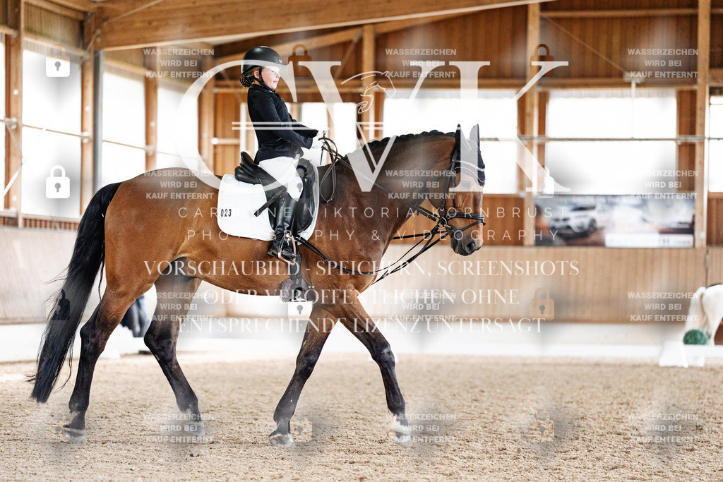 CK900842 | Turnierfotografie Pferdefotografie Trier Rheinland-Pfalz Pferdesport Reitsport Tierfotografie Sportfotografie Pferdevideo Pferdevideografie Equestrianvideography equestrianphotography  - Realisiert mit Pictrs.com