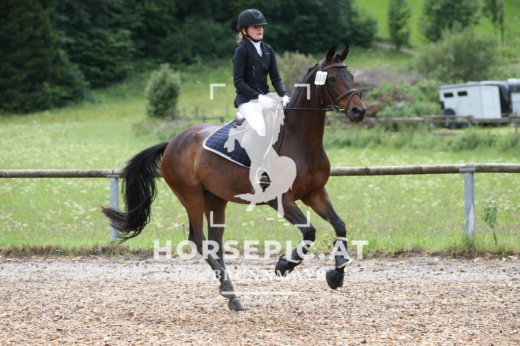 DL2Q3538 | Willkommen bei Brunnmayr - Design & Fotografie – Ihrem Spezialisten für Reitturniere und Pferdeveranstaltungen in Oberösterreich, Salzburg und Bayern! Seit über 17 Jahren sind wir leidenschaftlich dabei.