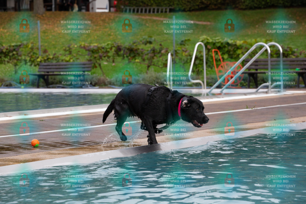 _HP_7523_1000o | HetPix, HetPix Fotodesign, Fotografie, Fotodesign, Webshop, Sportfotografie, Portraitfotografie, Onlineshop, Sportfotografie, Polch, Motorsportfotografie, Eventfotografie