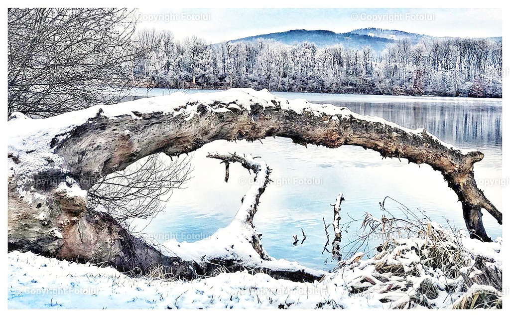 A_LUI_29122022_04 | WEIKERSEE WINTER BAUM