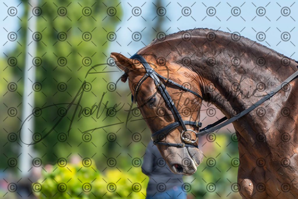 KPT_0750 | andre_photographic