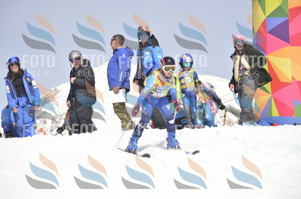 _ELE8745 | holidayphoto