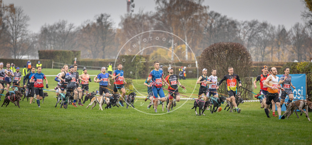 CaniXpix_DV3A9438 | Hundefotografie, Tierfotograf, Pfotenfotografie, Fotoshooting Hund, Hunde Portrait, Hundesport, Hundeportraits, Heideshooting, Hunde, Sportfotograf, Hundefotograf, Turnierhundsport, THS,  - Realisiert mit Pictrs.com