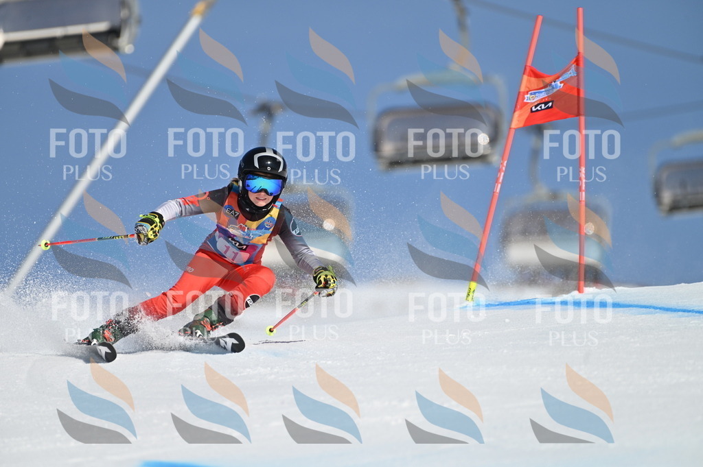 BGV_7768 | holidayphoto