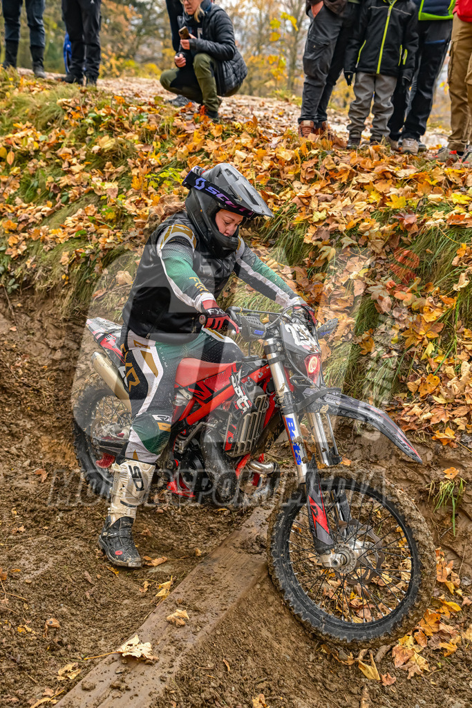 NZ8_5644 | grenznic640