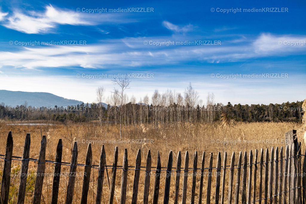 _J3A7748 | medienkrizzler - Realisiert mit Pictrs.com