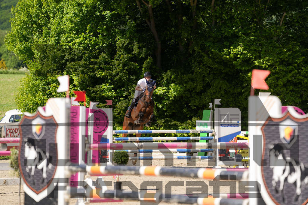 DSC02374 | Julian Held Fotografie - Realisiert mit Pictrs.com