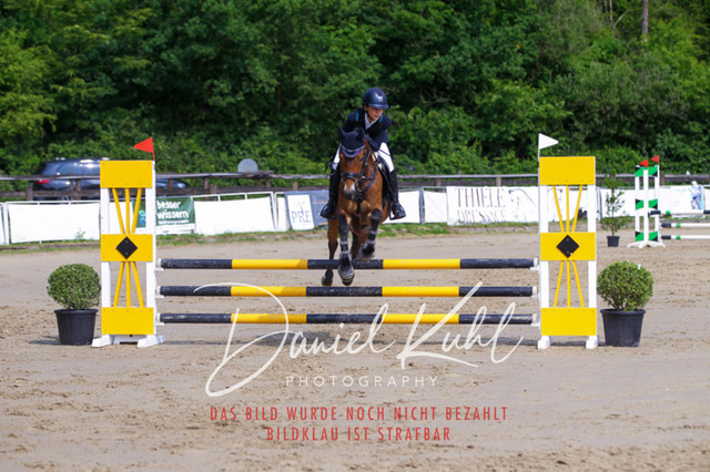 DKP41347 | Turniersportfotografie; Pferdefotografie; Dressurfotografie