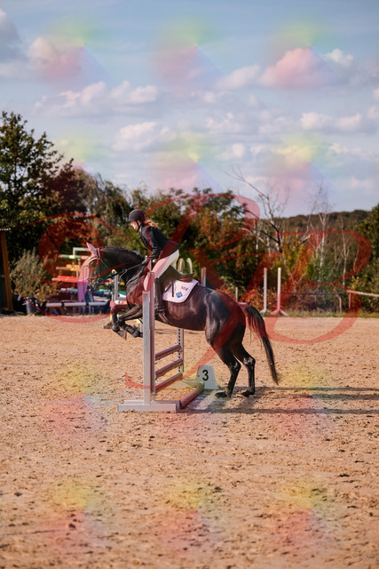 2026_10_03_Siefer-Hof_153532_Z81_47456822 | Professionelle Reitsport-, Turnier- und Eventfotografie von Robert Broda. Galerien mit ausgewählten und bearbeiteten Bildern direkt online ansehen und bestellen.
