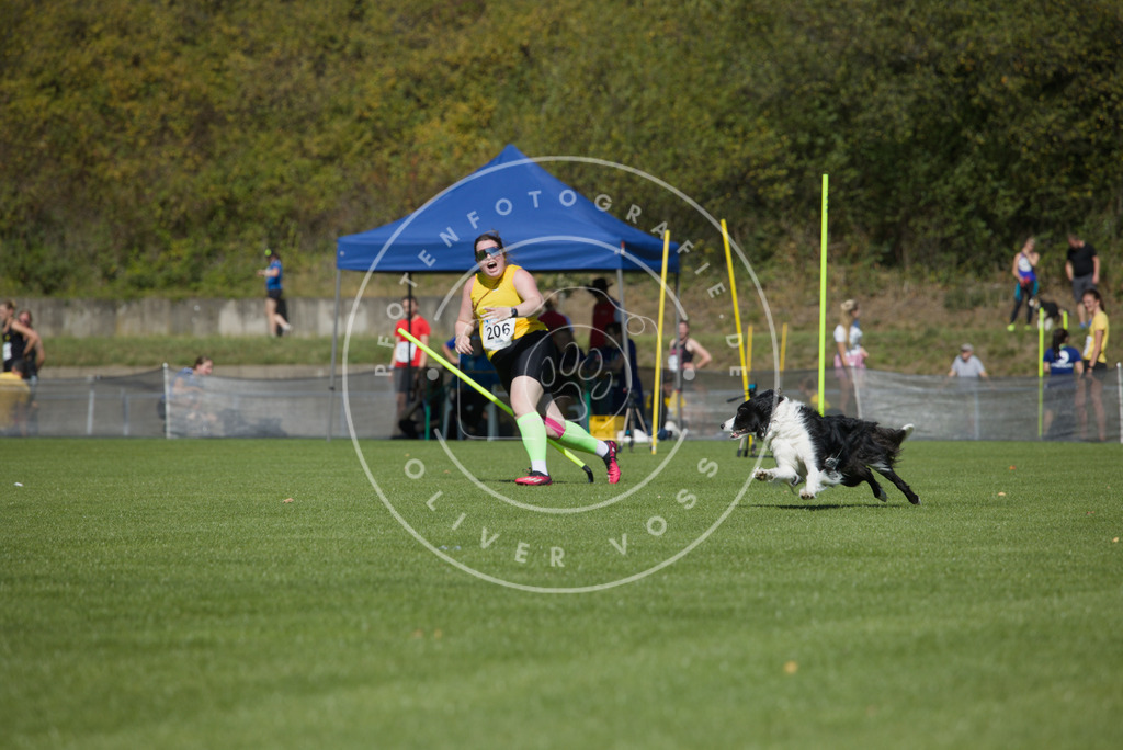 0L8A5826 | Hundefotografie, Tierfotograf, Pfotenfotografie, Fotoshooting Hund, Hunde Portrait, Hundesport, Hundeportraits, Heideshooting, Hunde, Sportfotograf, Hundefotograf, Turnierhundsport, THS,  - Realisiert mit Pictrs.com