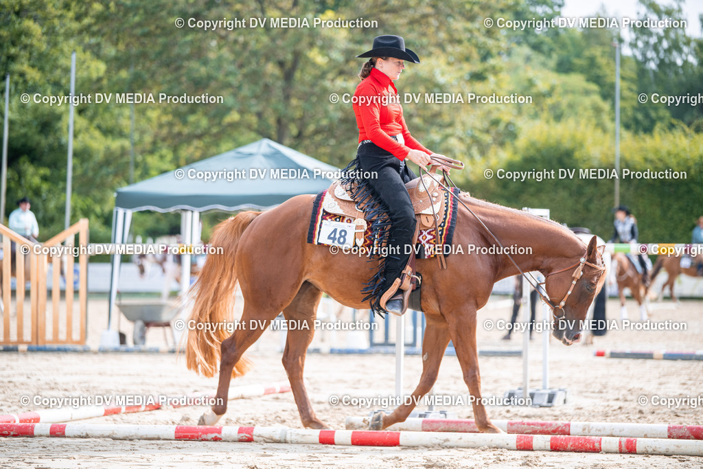 ZS3_4900 | dv-media-shop - Realisiert mit Pictrs.com