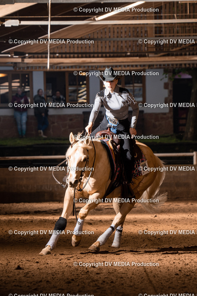 Erbach Tag 2-1102 | dv-media-shop - Realisiert mit Pictrs.com