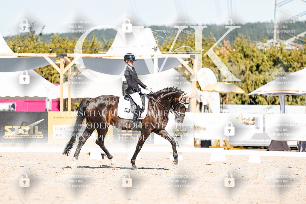 CK908478 | Turnierfotografie Pferdefotografie Trier Rheinland-Pfalz Pferdesport Reitsport Tierfotografie Sportfotografie Pferdevideo Pferdevideografie Equestrianvideography equestrianphotography  - Realisiert mit Pictrs.com