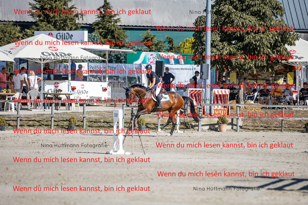 BK1A7896 | Turnierbilder Turnierfotos Nina Hüffmann Turnierfotografie Pferdefotografie Tierzeichnung Haustierzeichnung Pferdezeichnung Hundezeichnung Videograf  - Realisiert mit Pictrs.com
