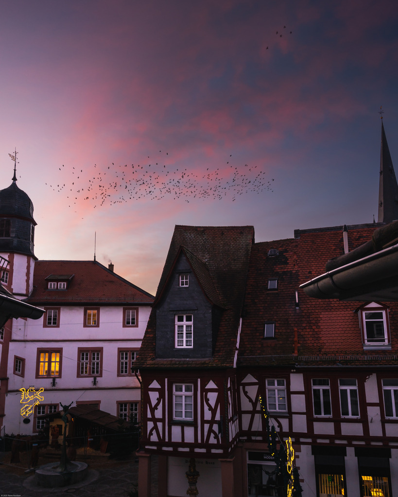 _DSC8030 | renerovisanfotoart.com