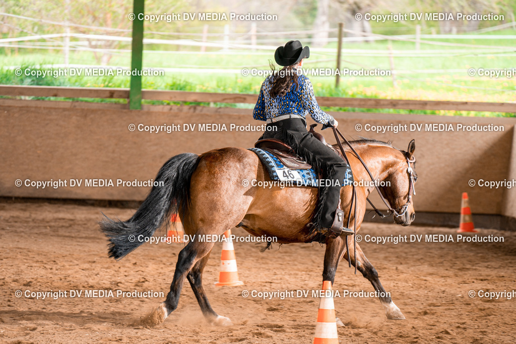 BA300908 | dv-media-shop - Realisiert mit Pictrs.com