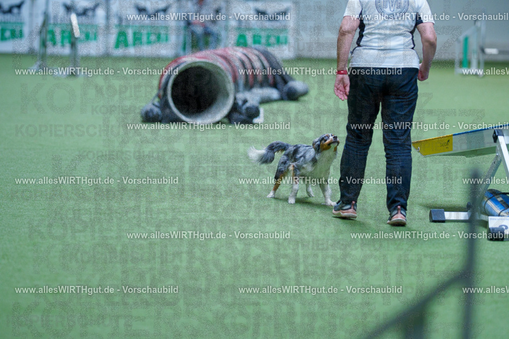 @allesWIRTHgut_Tierfotografie - www.allesWIRTHgut.de - 2604251442-7R505370 | Professionelle Tierfotografie in Mönchengladbach von Daniel Wirth (allesWIRTHgut). Liebevolle & natürliche Bilder von Hunden & Katzen für unvergessliche Erinnerungen.