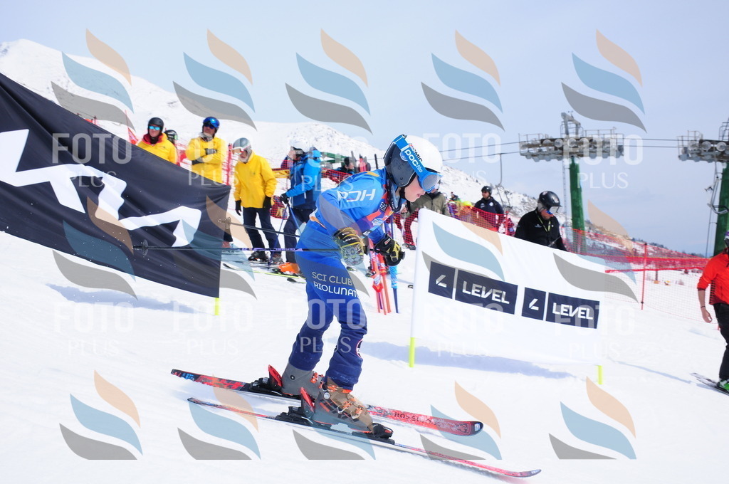 DSC_2384 | holidayphoto