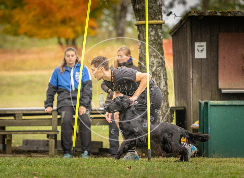 Pfotenfotografie_DV3A7644 | Hundefotografie, Tierfotograf, Pfotenfotografie, Fotoshooting Hund, Hunde Portrait, Hundesport, Hundeportraits, Heideshooting, Hunde, Sportfotograf, Hundefotograf, Turnierhundsport, THS,  - Realisiert mit Pictrs.com