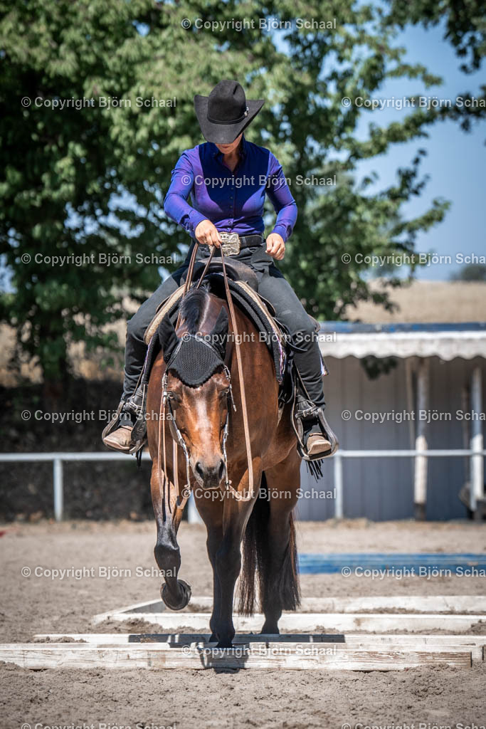 LOE03649 | BS-foto