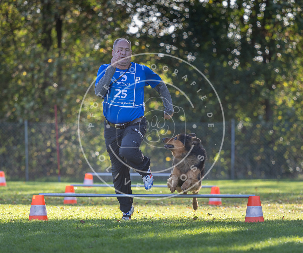Pfotenfotografie.de_DV3A3071 | Hundefotografie, Tierfotograf, Pfotenfotografie, Fotoshooting Hund, Hunde Portrait, Hundesport, Hundeportraits, Heideshooting, Hunde, Sportfotograf, Hundefotograf, Turnierhundsport, THS, canicross - Realisiert mit Pictrs.com