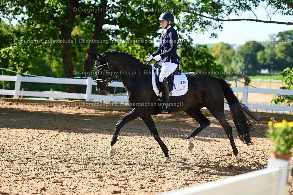 20230715_06_Dressurpferdeprfg. Kl.A_0248 | equistock