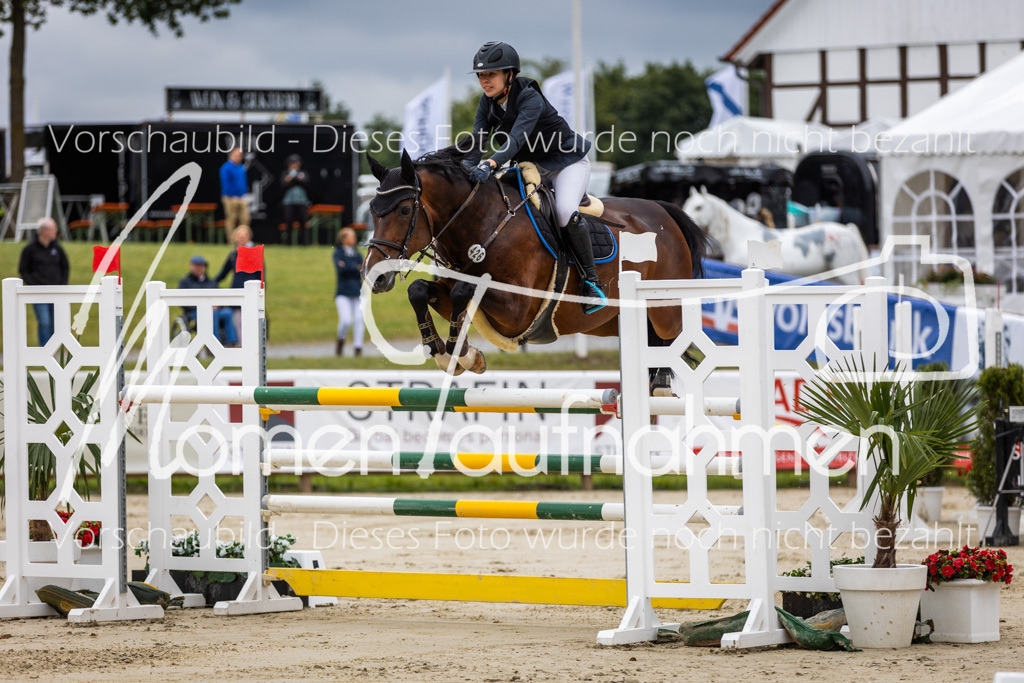 BHO-2PhSpr-M-5-2247 | MomenTaufnahmen Pferdesportfotos