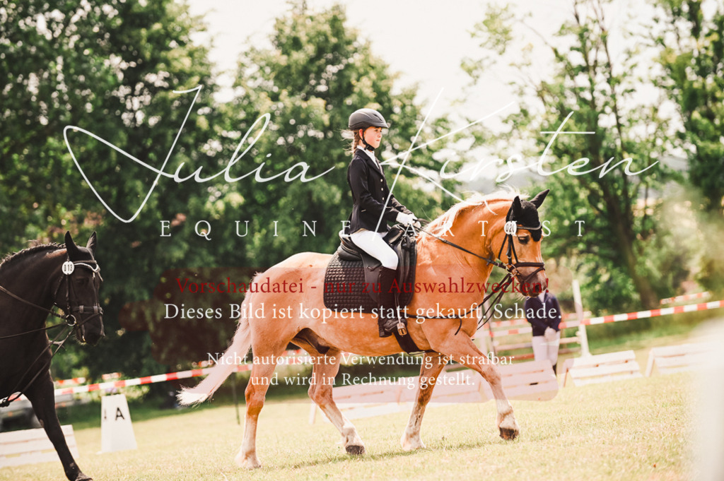 DSC_6188 | Pferde- und Turnierfotografie in Westsachsen. Pferdeportraits, Auftragszeichnungen und intuitive Kunst.
