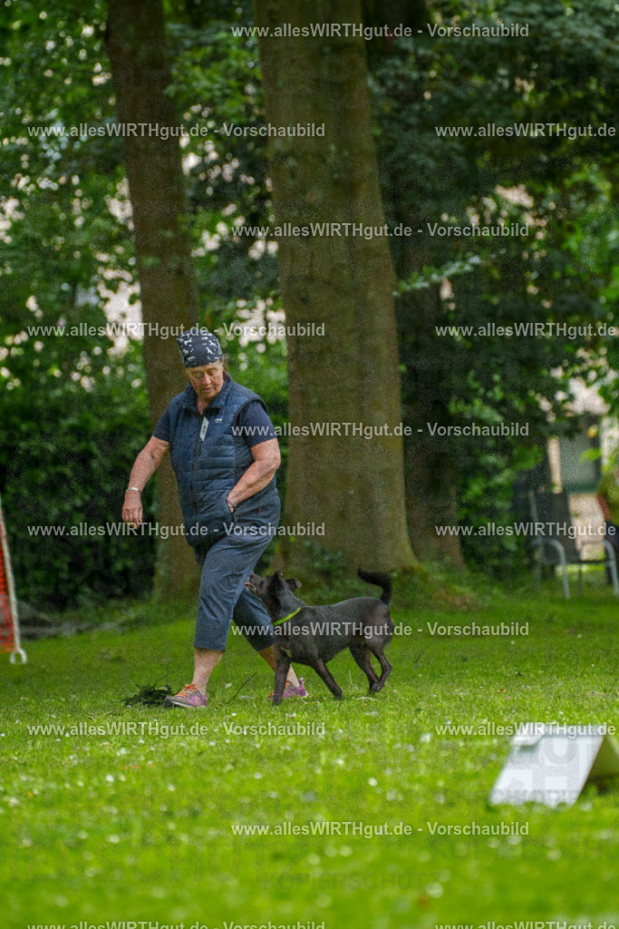 @allesWIRTHgut_Tierfotografie - www.allesWIRTHgut.de - 124247-7R509340 | Professionelle Tierfotografie in Mönchengladbach von Daniel Wirth (allesWIRTHgut). Liebevolle & natürliche Bilder von Hunden & Katzen für unvergessliche Erinnerungen.