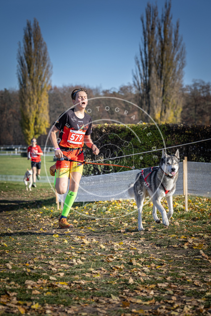 CaniXpix_DV3A9030 | Hundefotografie, Tierfotograf, Pfotenfotografie, Fotoshooting Hund, Hunde Portrait, Hundesport, Hundeportraits, Heideshooting, Hunde, Sportfotograf, Hundefotograf, Turnierhundsport, THS,  - Realisiert mit Pictrs.com