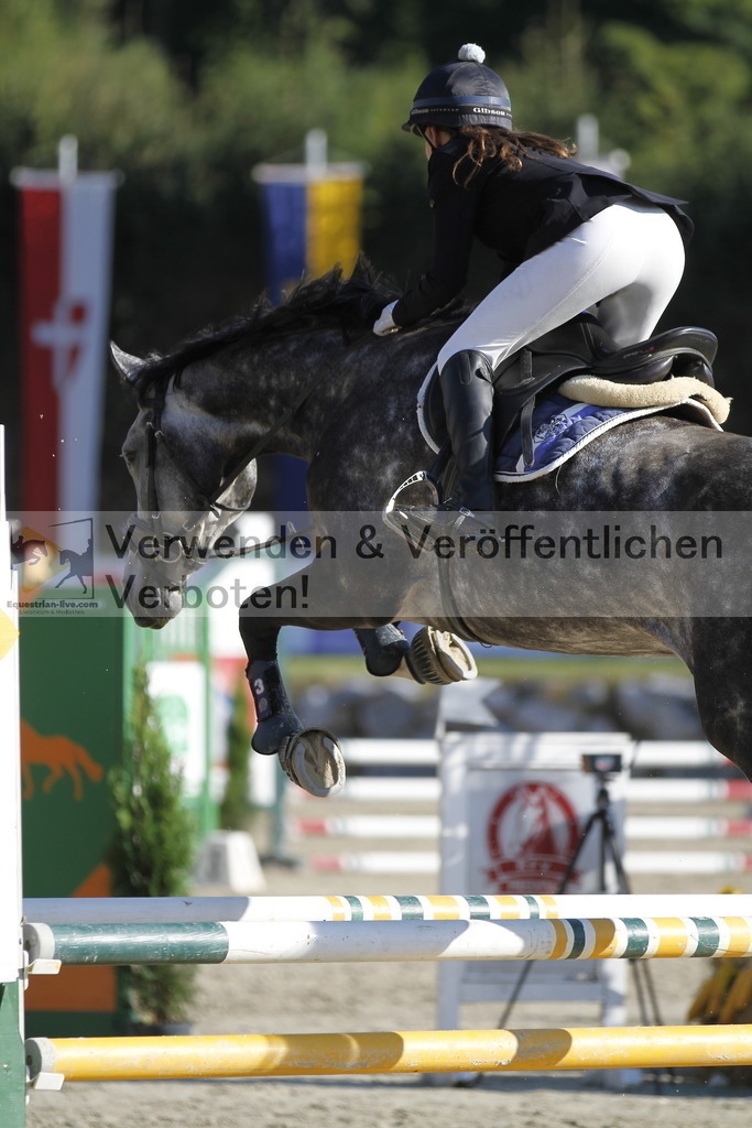 _MG_3611 | equestrian-live-com