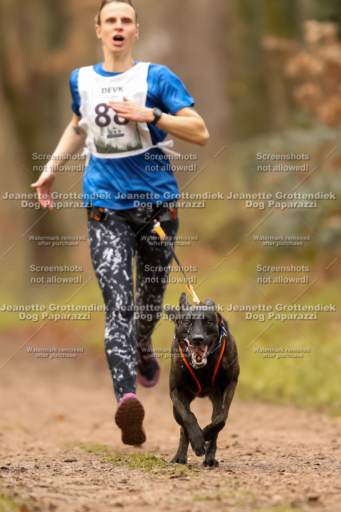 Dog Paparazzi - Speedhunter Mannheim  2025-247 | Dog Paparazzi Jeanette Grottendiek Fotografie & Videografie