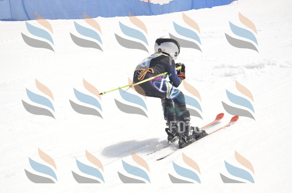 _ELE8919 | holidayphoto