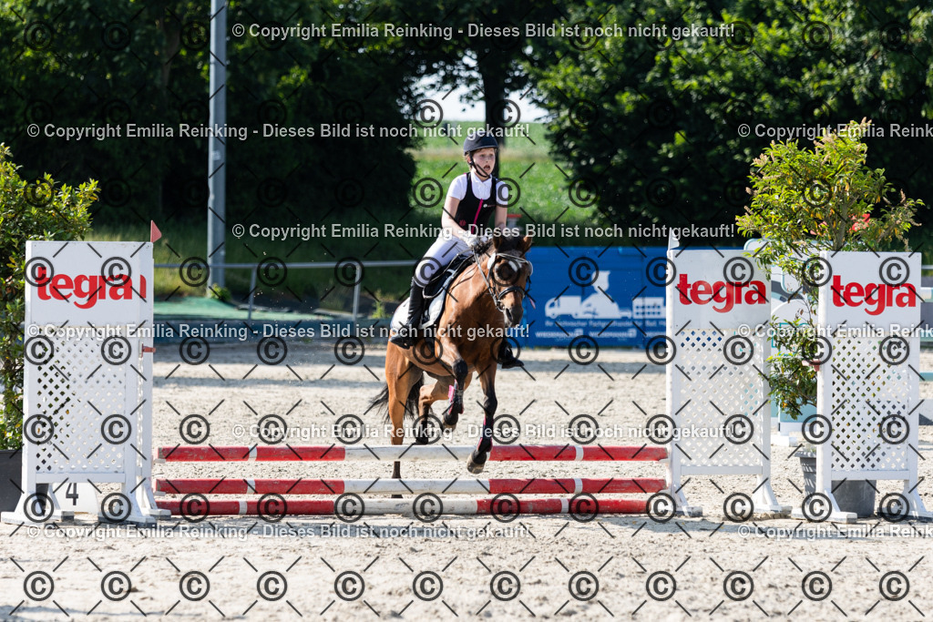 CL5A1224 | Emilia Reinking Fotografie - Realisiert mit Pictrs.com