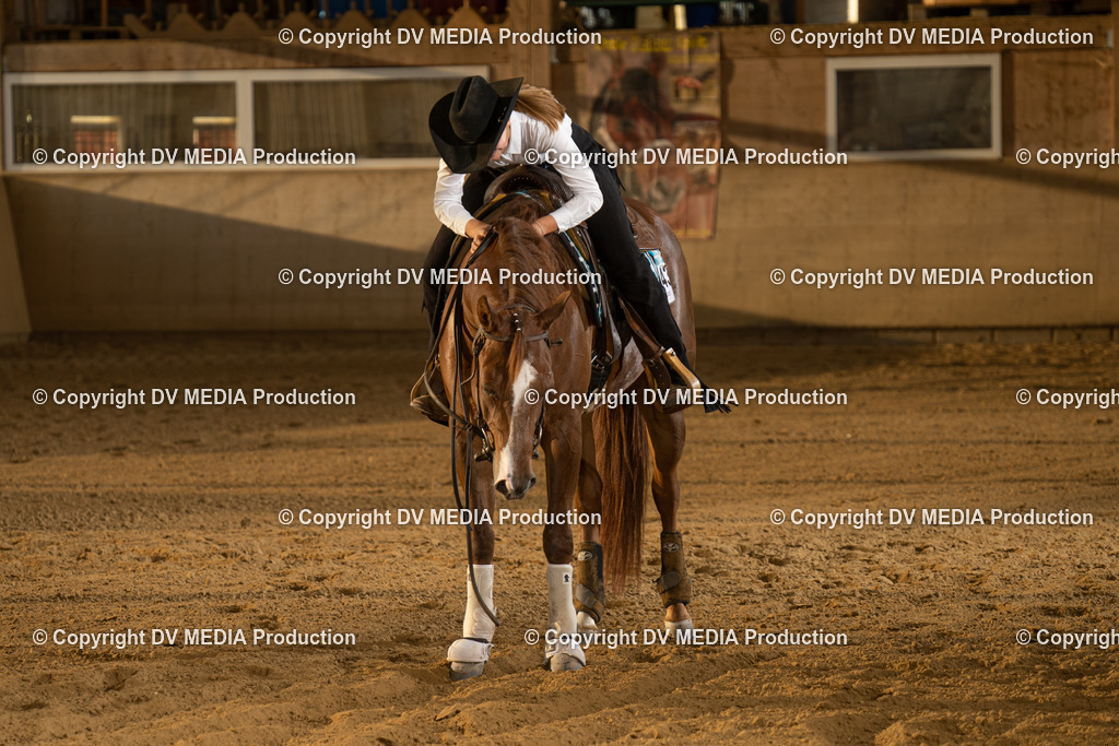 LAU02008 | dv-media-shop - Realisiert mit Pictrs.com